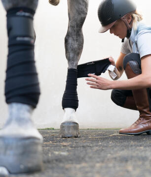 bandages aanbrengen bij je paard bandages aanbrengen bij je paard