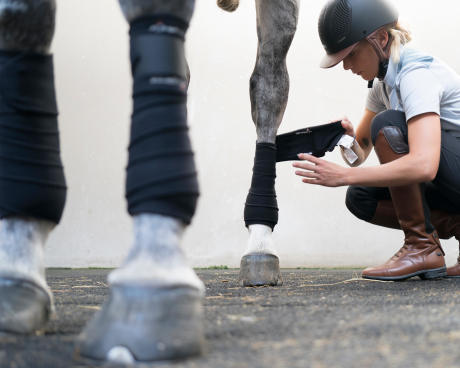Fille qui pose des bandes de polo sur le membre postèrieur gauche du cheval Fille qui pose des bandes de polo sur le membre postèrieur gauche du cheval