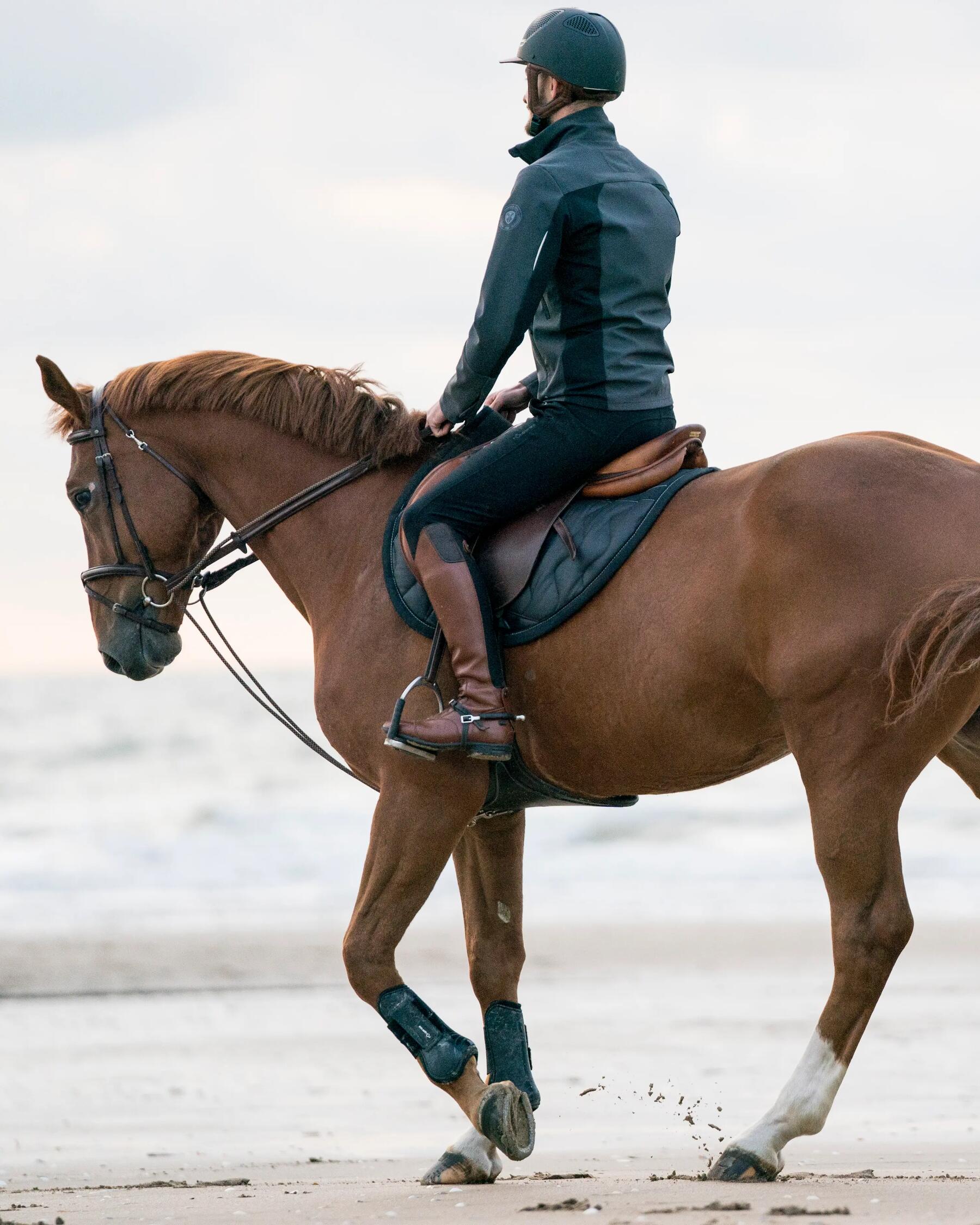 paard op het strand