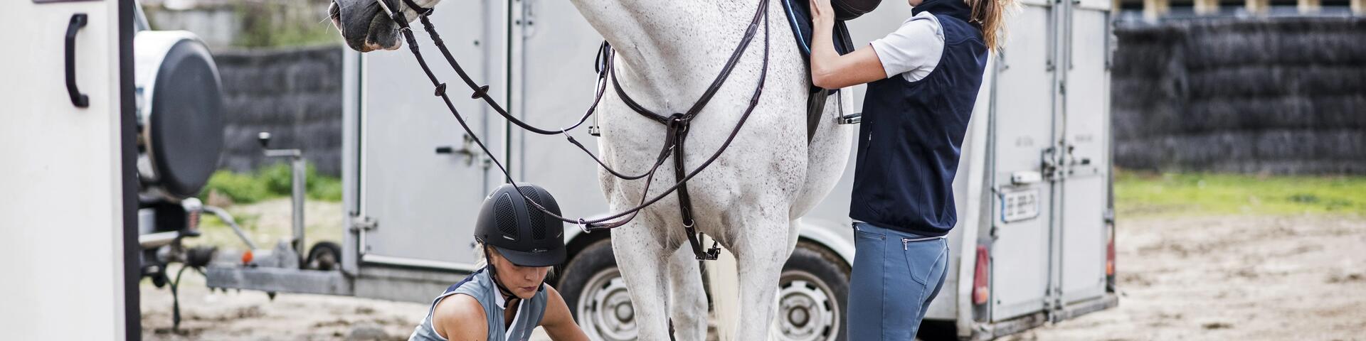 om je paard de trailer in te krijgen