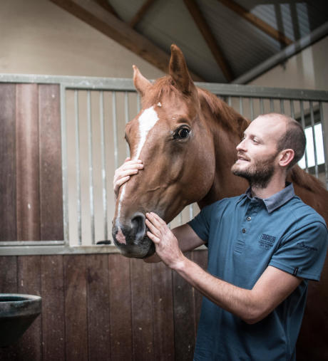 check-up cheval check-up cheval