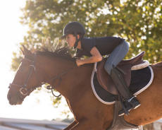 galop galop