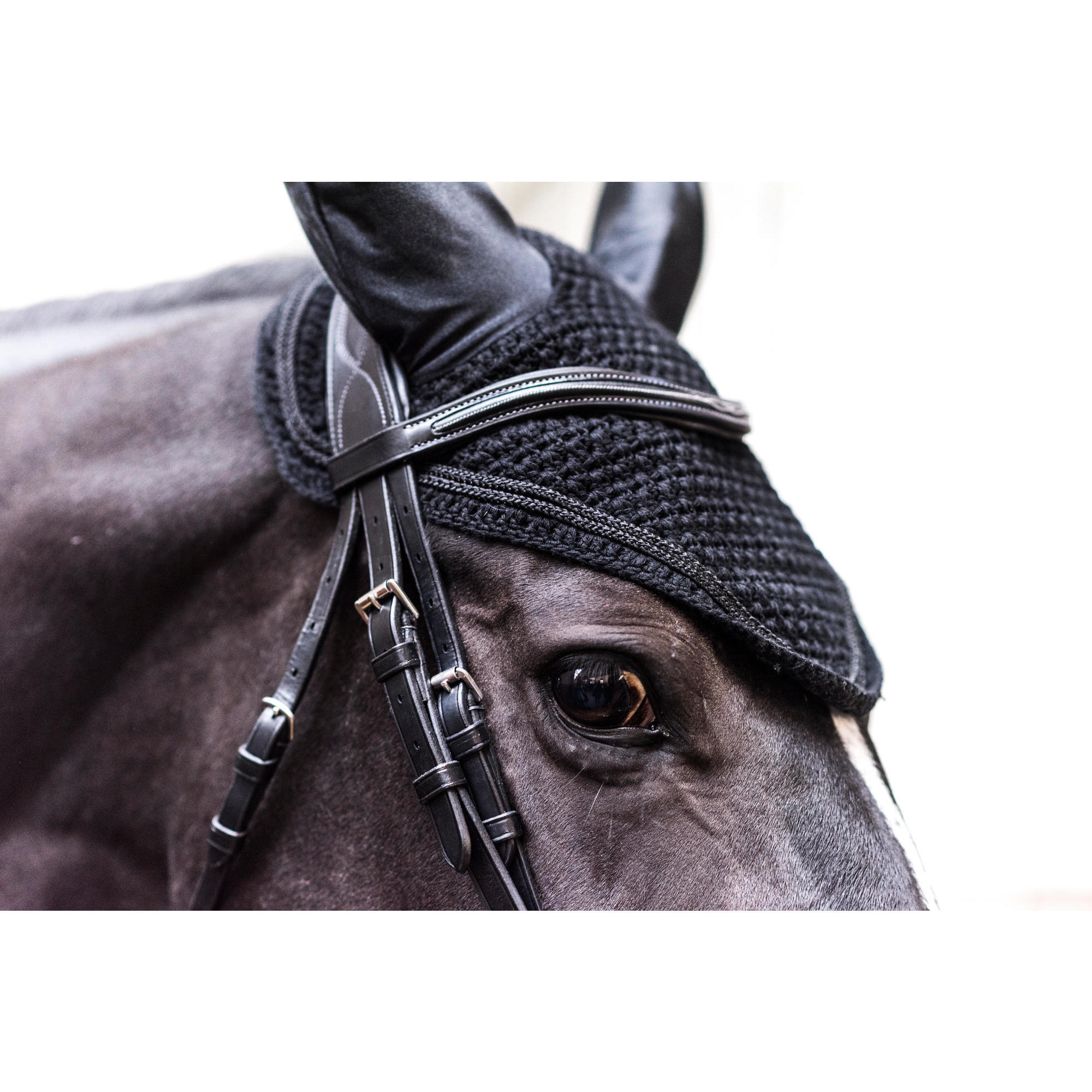 Horse riding cap - Riding black