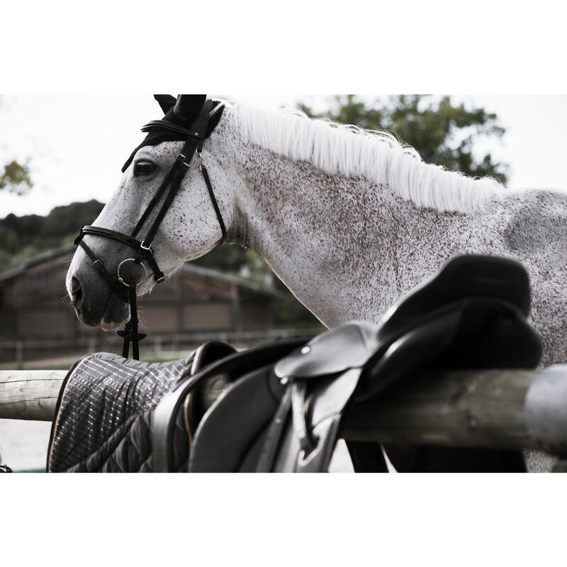 Hoofdstel voor paarden en pony's 580 Franse neusriem stiksels leer zwart