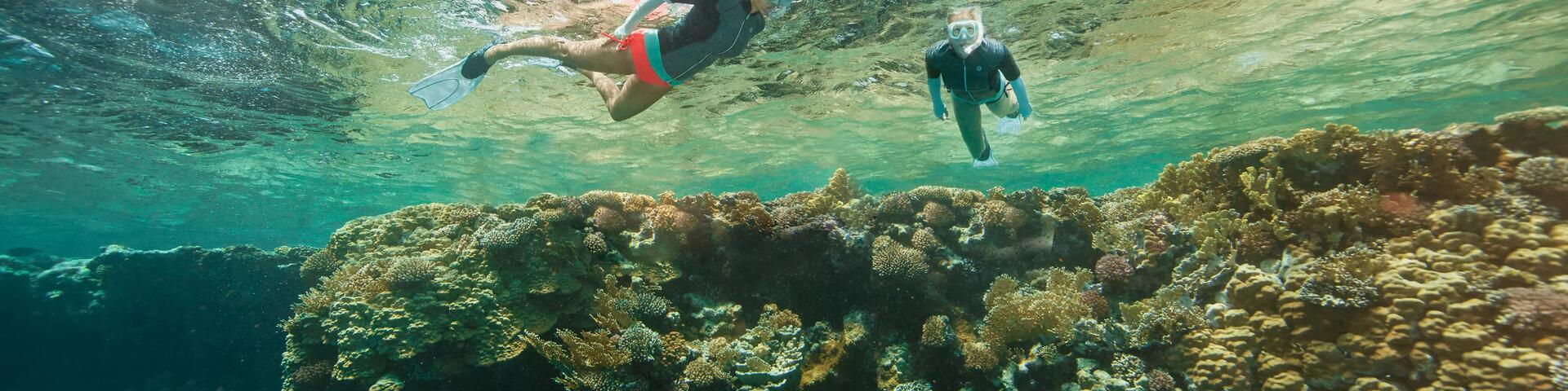 snorkeling