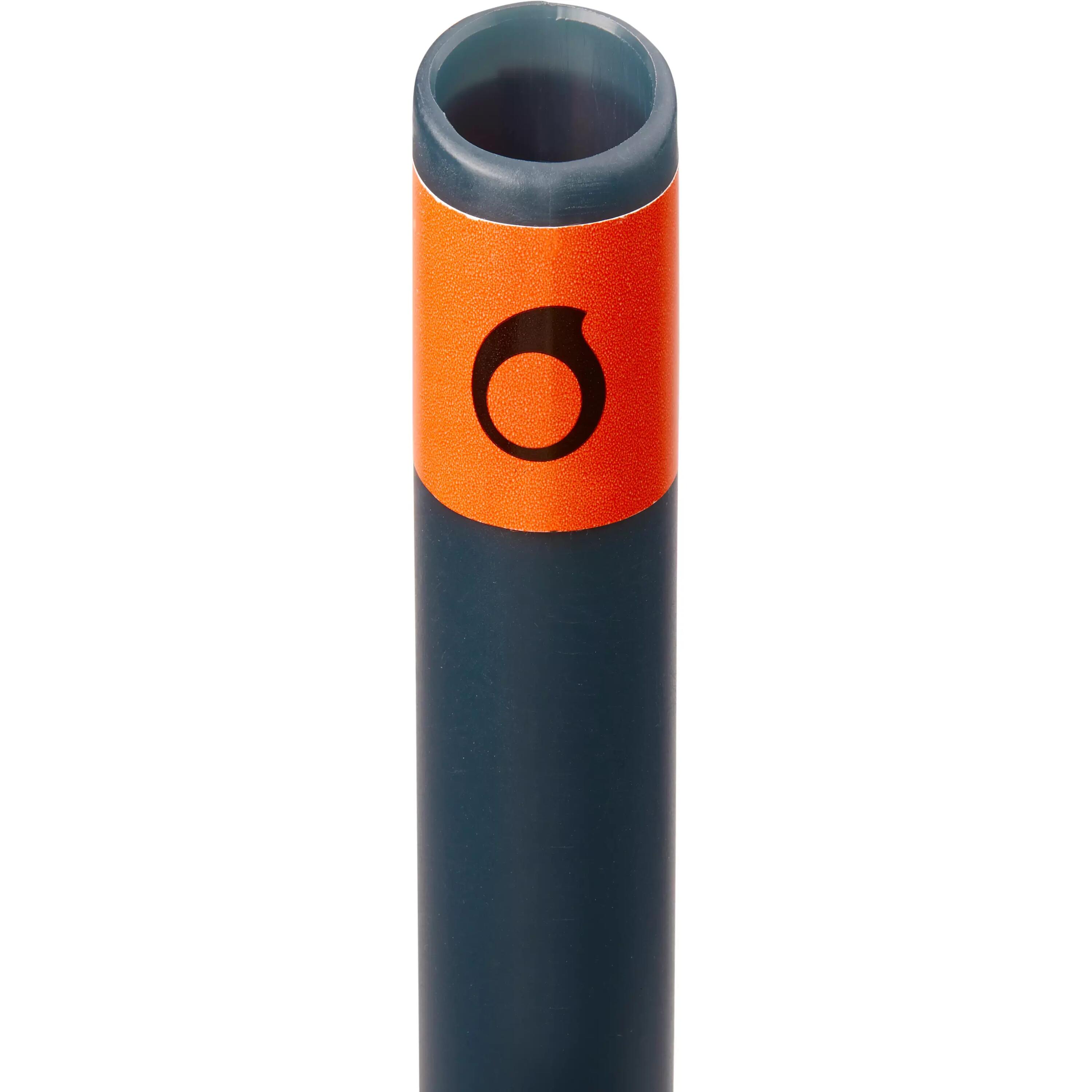 Adults’ snorkel FRD100 grey 5/6