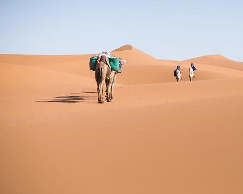 Trek dans le desert