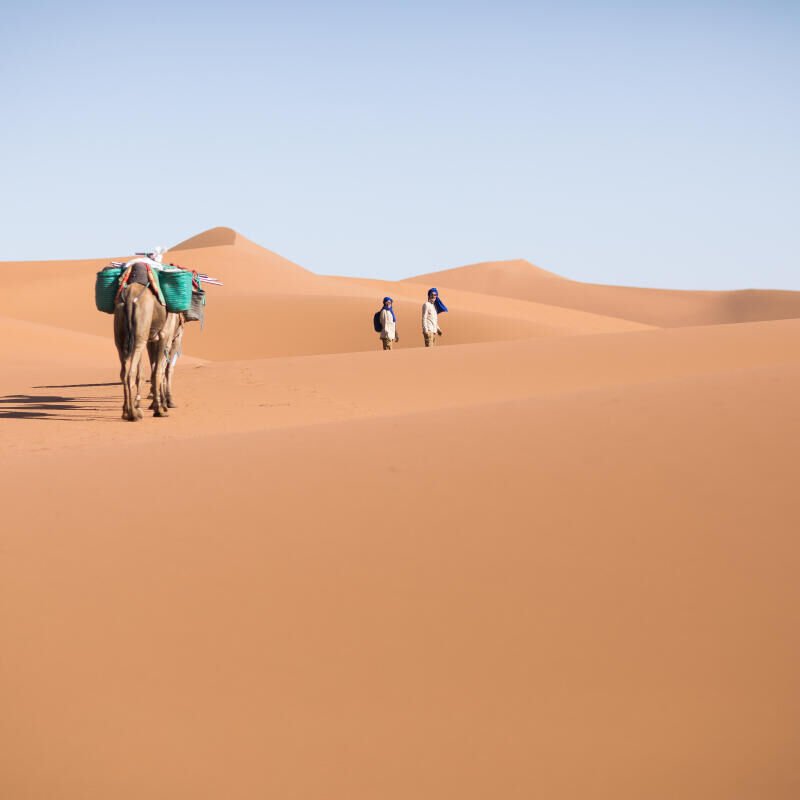 Trek dans le desert