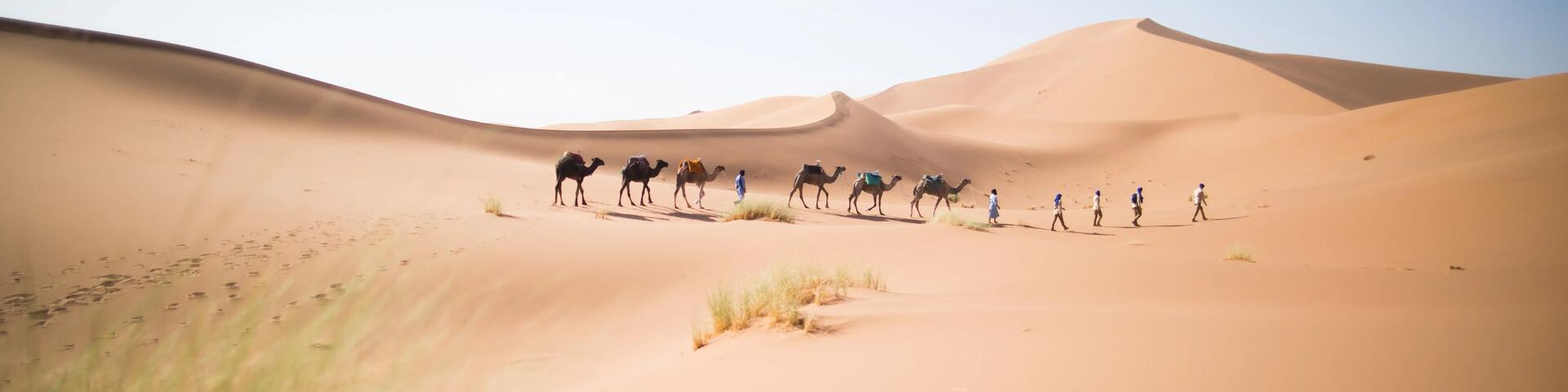 hoe bereid je een trekking in de woestijn voor