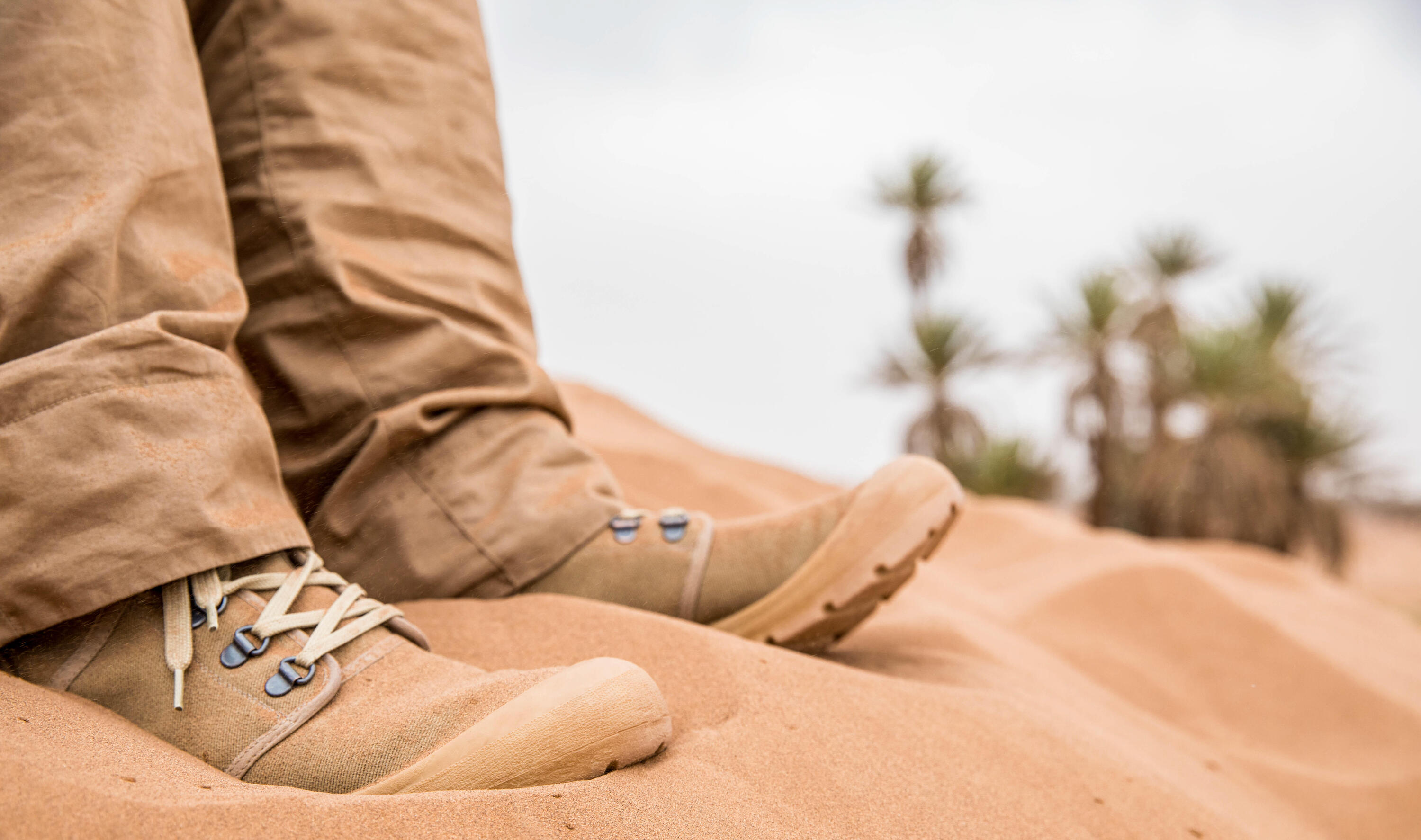 Unisex Desert Trekking High-Top Anti-Sand Boots Desert 900 2/11