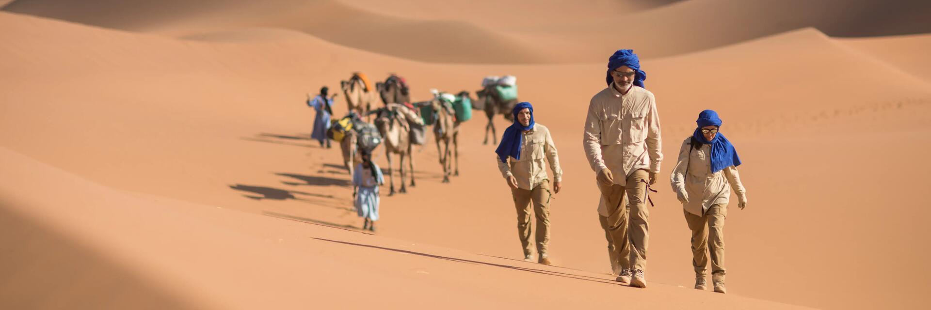 Trekkeurs marchant sur une dune de sable dans le desert