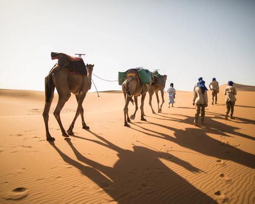 Desert trekking organisation Morocco