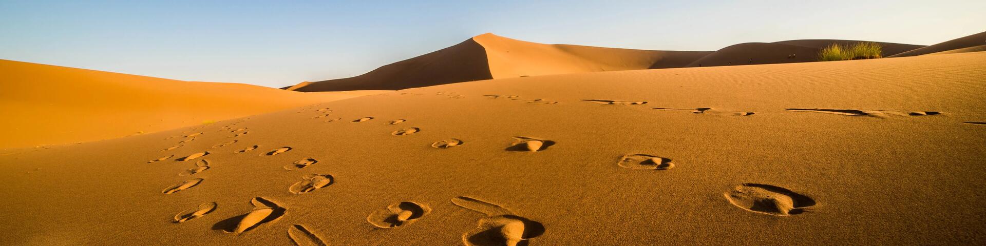 Je woestijntocht voorbereiden in 4 stappen