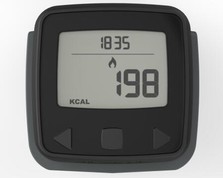 PODOMETRE ONWALK 500