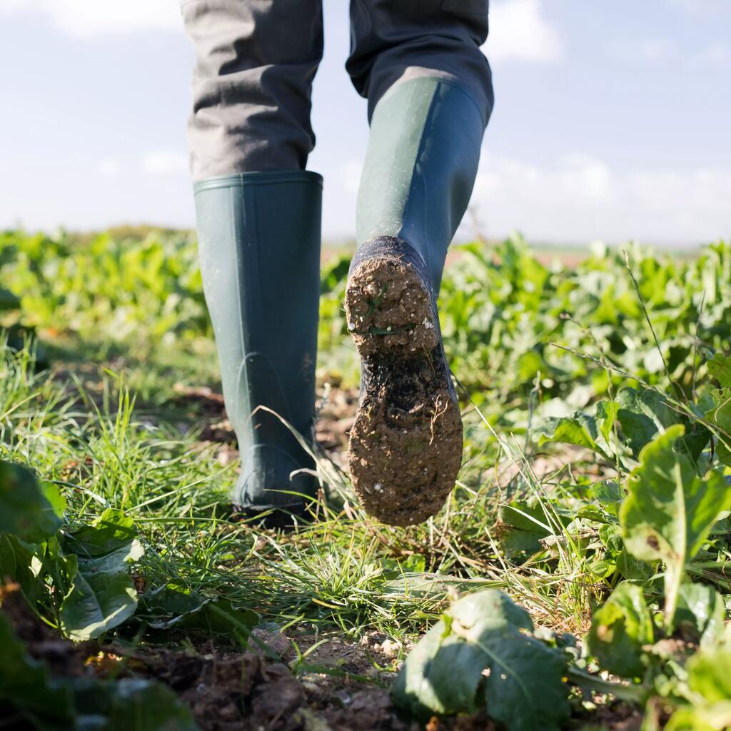 BOTTES DE PLUIE GLENARM 100 VERTES