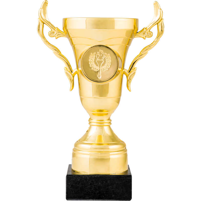 Pokal C100 16 cm gold 