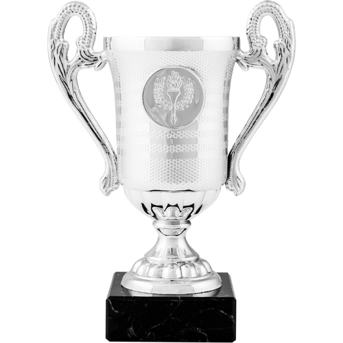 Coupe trophée avec ballon de fer en garantie taille petite SS0015 - Sodishop