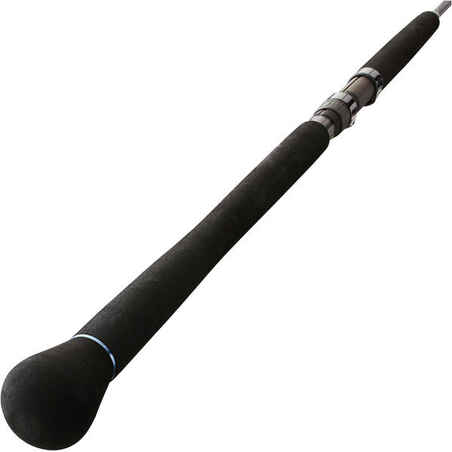 BIGFIGHT-5 195 80/220 G CATFISH FISHING ROD