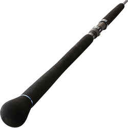 CATFISH FISHING ROD BIGFIGHT-5 195 80/220 G