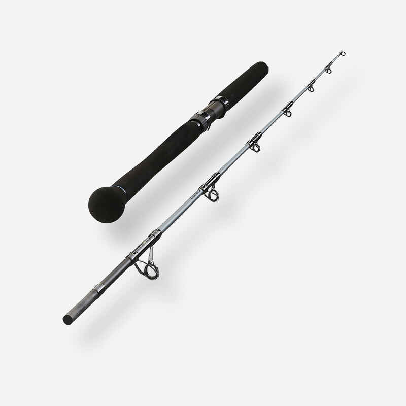 CATFISH FISHING ROD BIGFIGHT-5 195 80/220 G