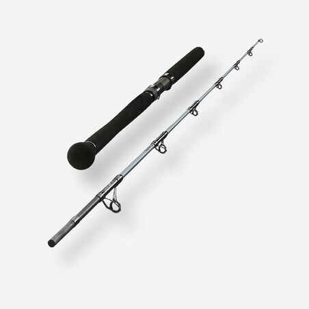 Štap za ribolov somova Bigfight-5 195 80/220 g