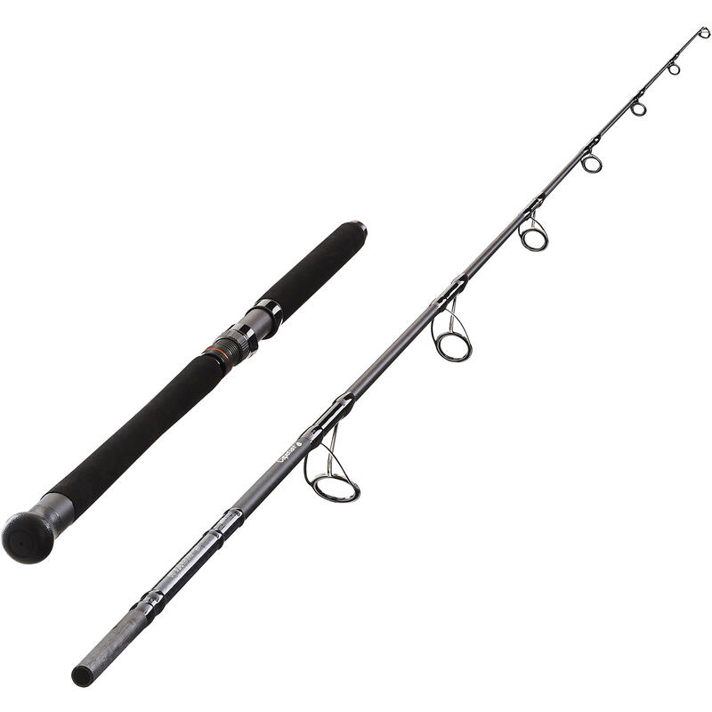 Pêche exotique