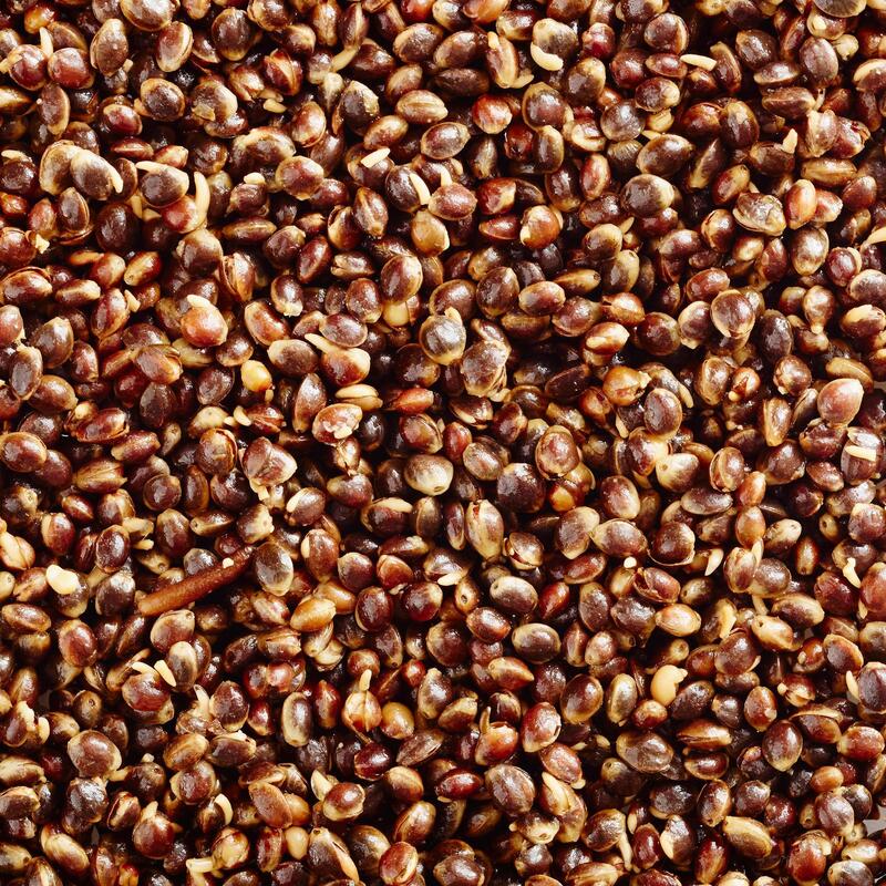 Particules pour sac de 5 kg de graines de chanvre pour carpe (chènevis cuit)