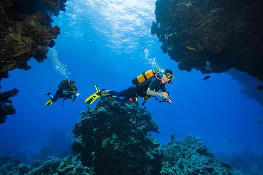 scuba-diving scuba-diving