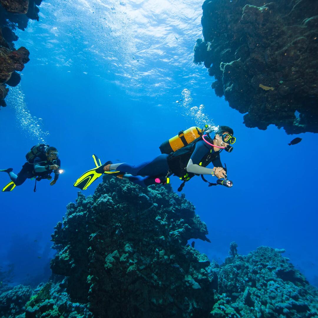 Comment préparer son voyage plongée