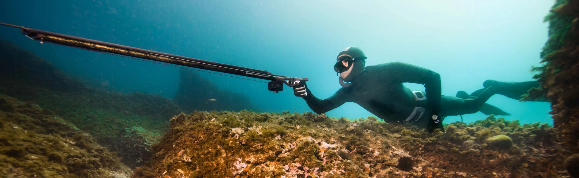 Como escolher a arma de caça submarina? 