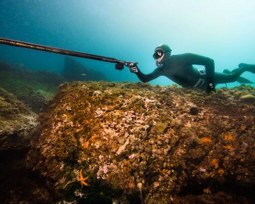 conseil monter flèche arbalète chasse sous marine astuces subea 