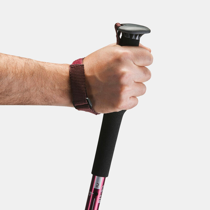 1 easy adjust country walking pole | A200 - Purple