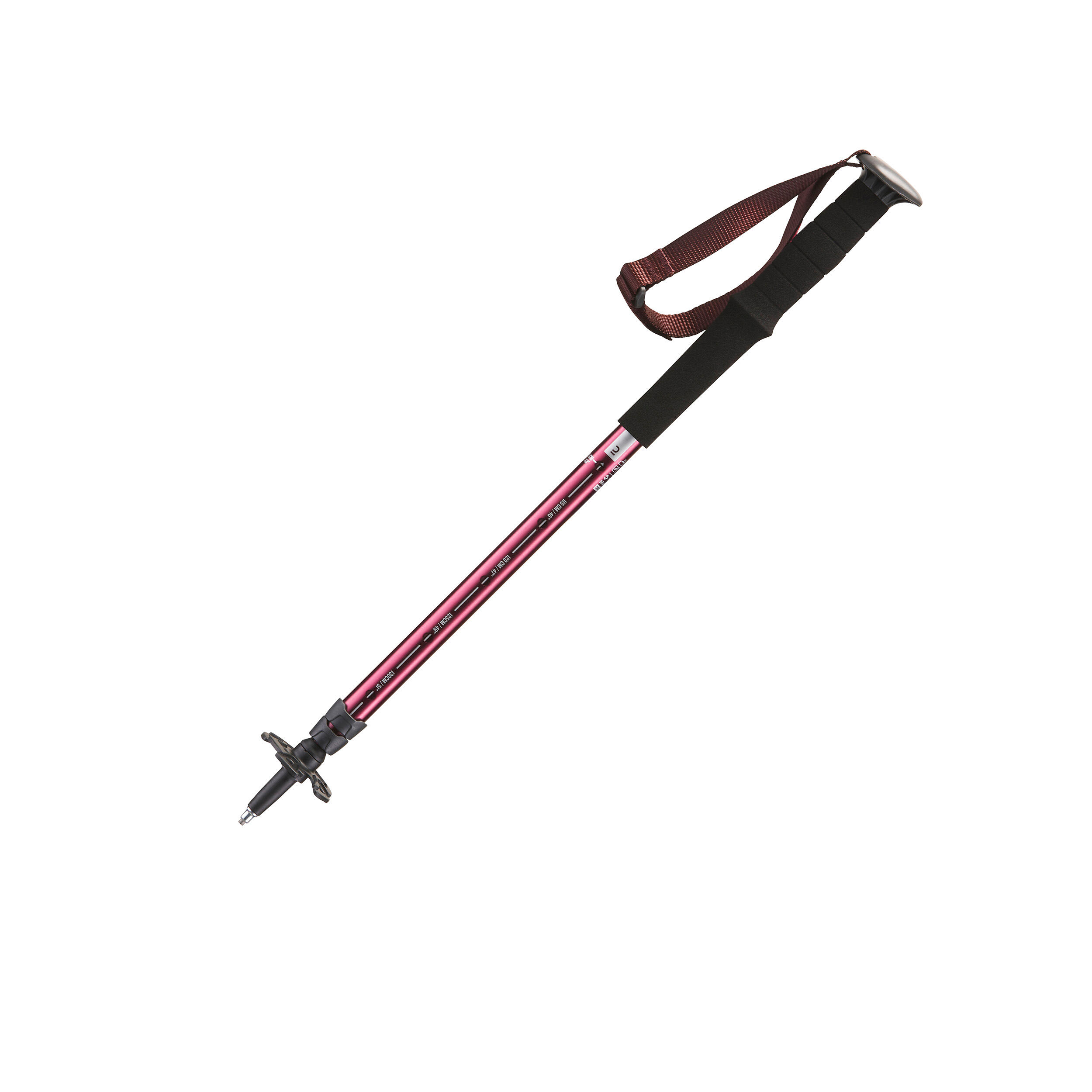 quechua hiking pole