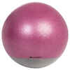 Swiss Stability Ball