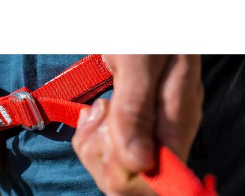HOW TO CHOOSE HARNESS ?