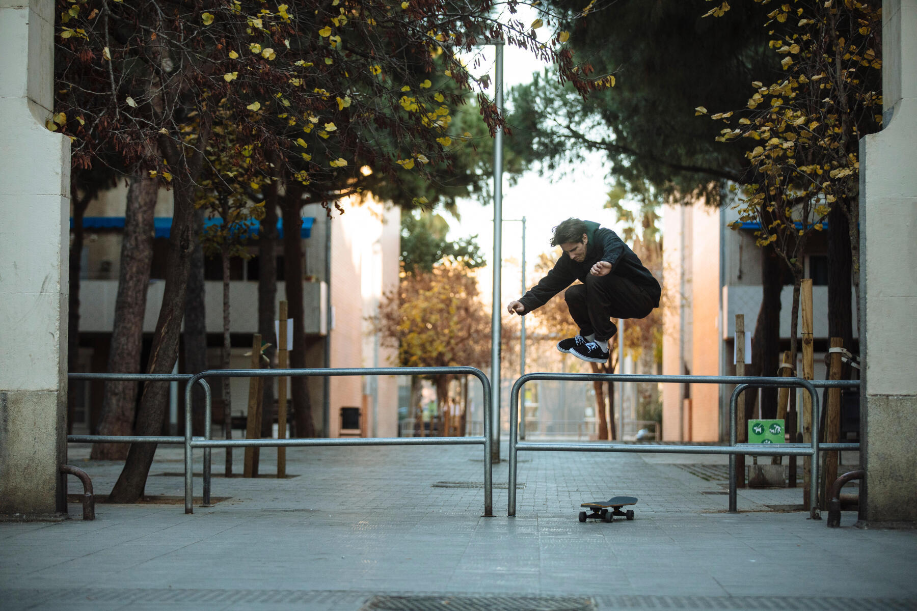 Léxico skate