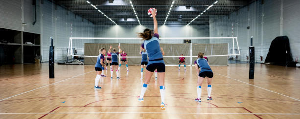 volley volley