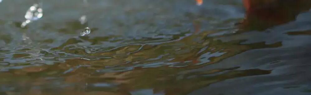 montage leurre souple
