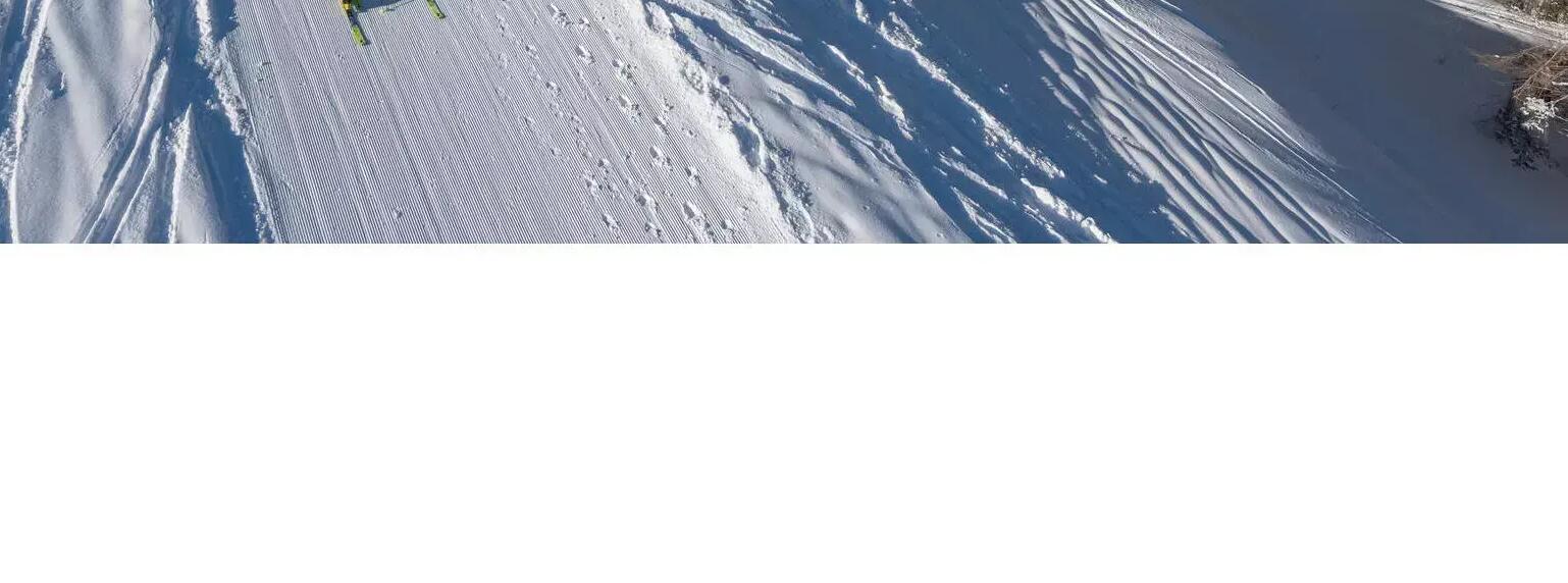 freeride comment choisir son ski