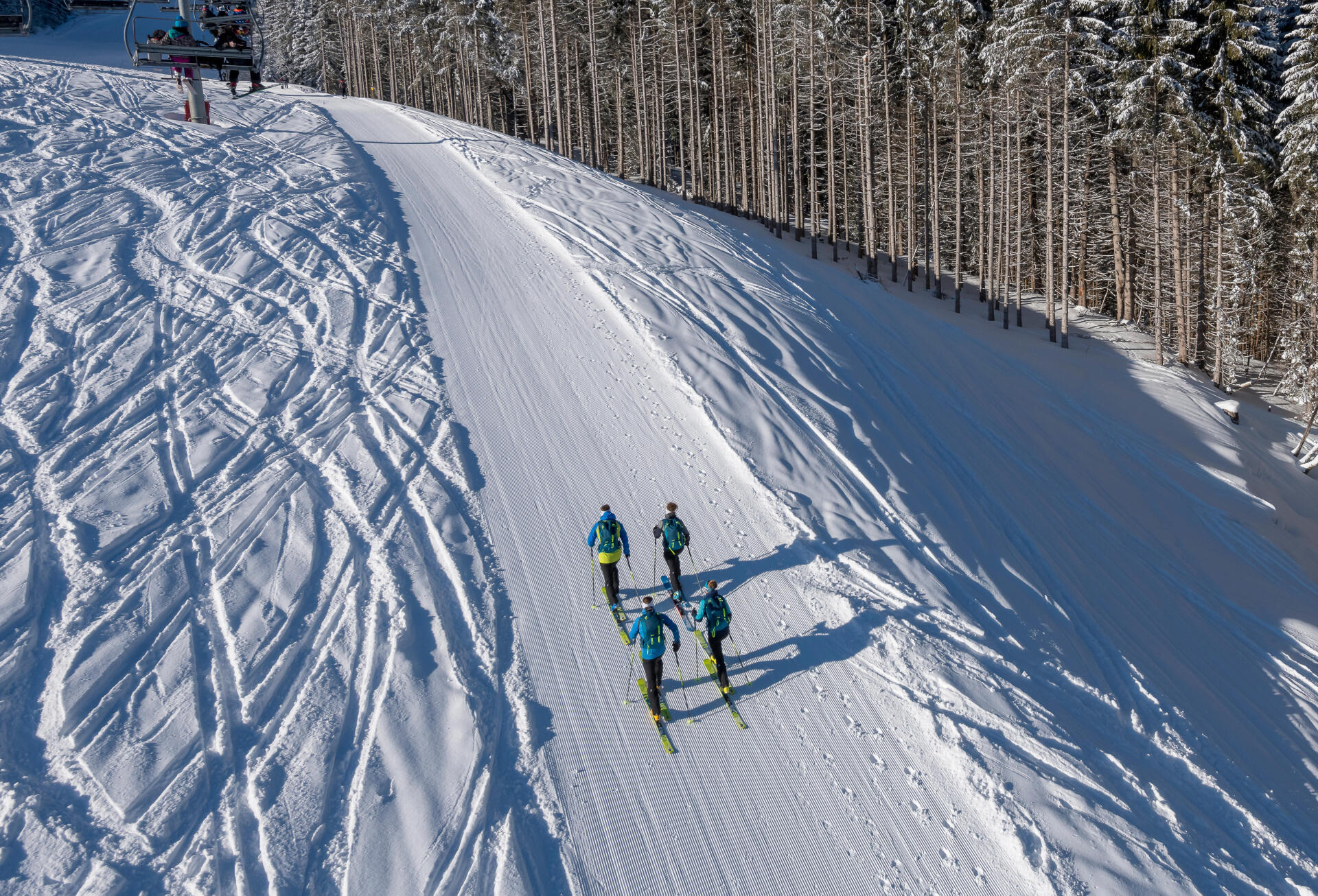 how to choose your freeride skis