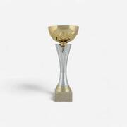 Zlat in srebrn pokal C535