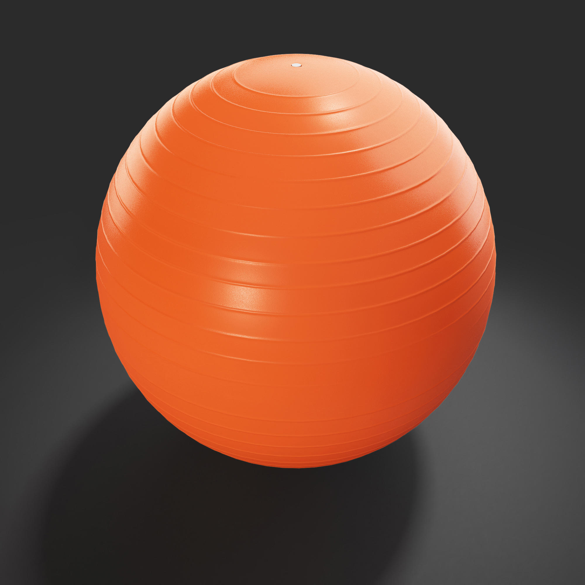 Large Anti-Burst Pilates Swiss Ball 4/4