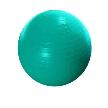 Small Anti-Burst Pilates Swiss Ball