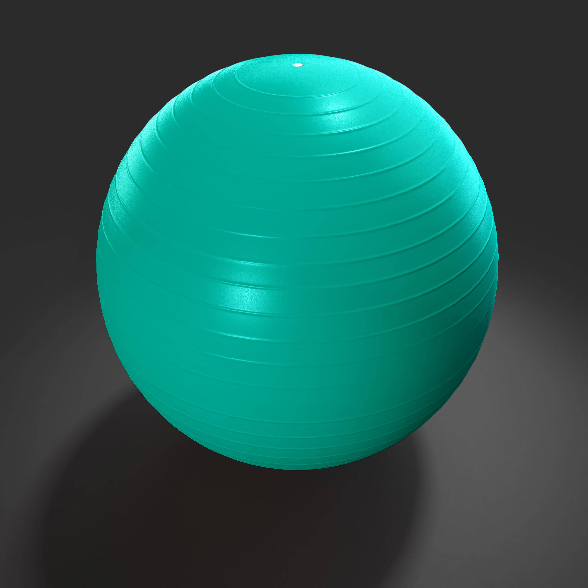 Small Anti-Burst Pilates Gym Ball -  5