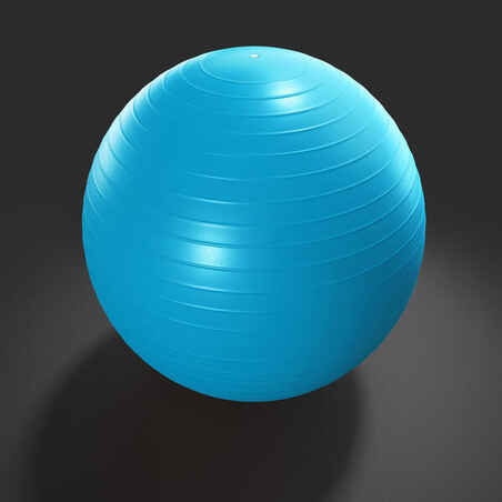 Medium Anti-Burst Pilates Swiss Ball
