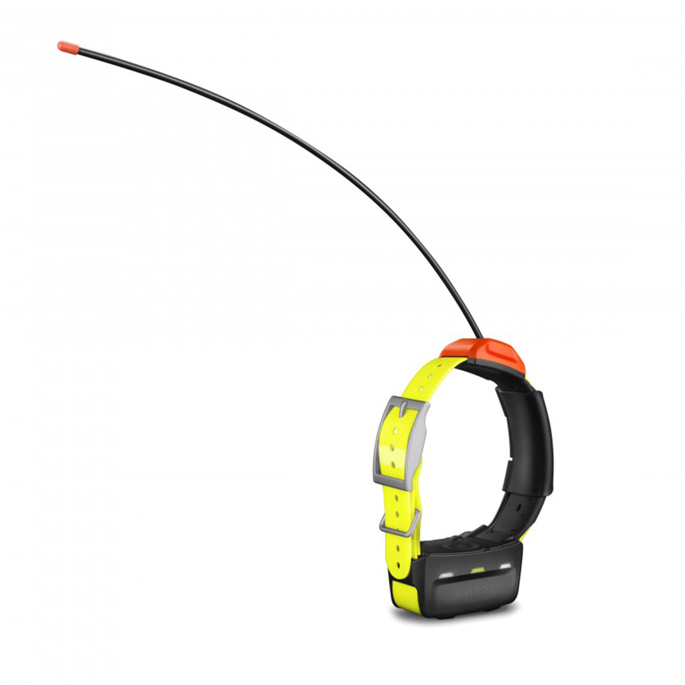 ガーミンT5 ADDITIONAL TRACKING COLLAR GARMIN T5 VERSION F | Decathlon
