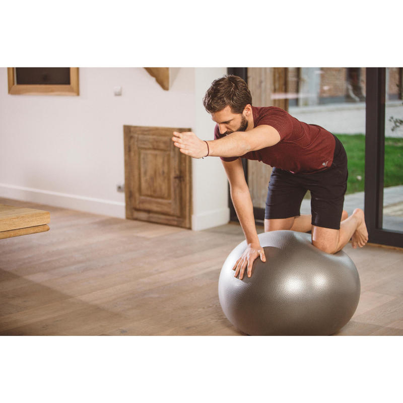 large swiss ball