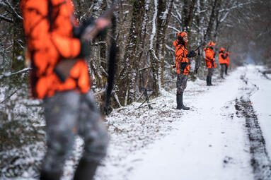 chasse-poste-neige chasse-poste-neige