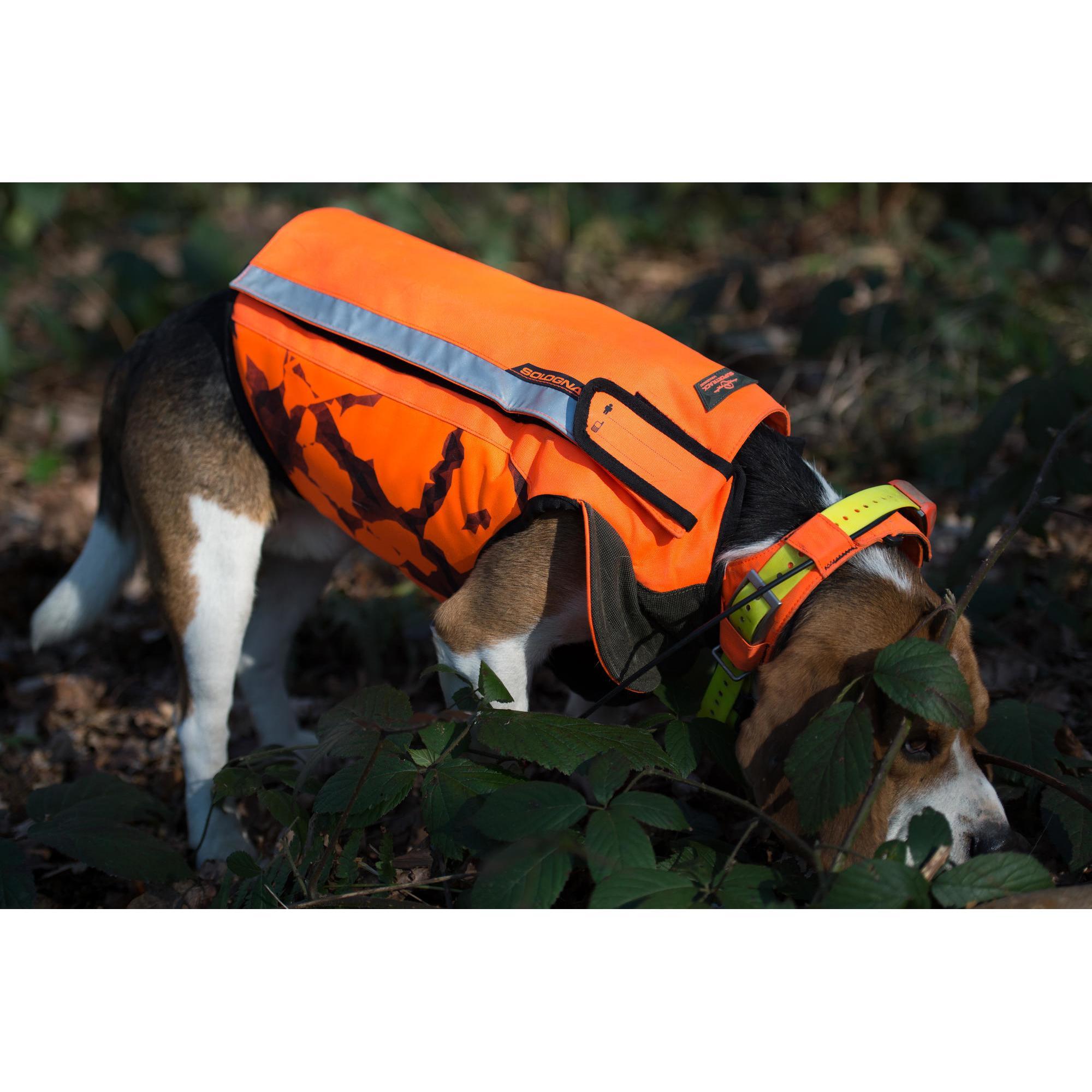 Gilet chien 2025 supertrack 900