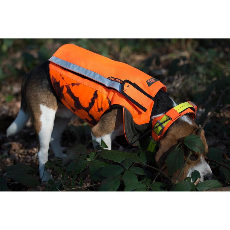 GILET CHIEN SUPERTRACK 900